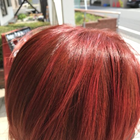 ご予約に関する御願い